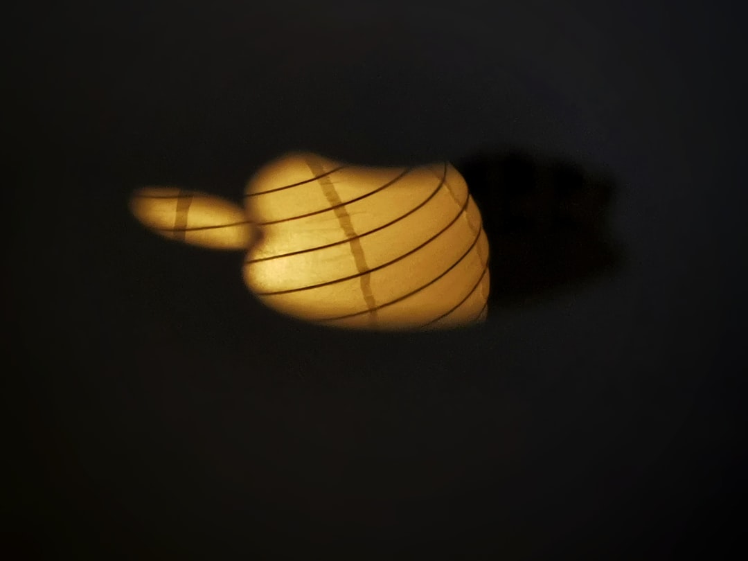 Photo rice paper globe lamp